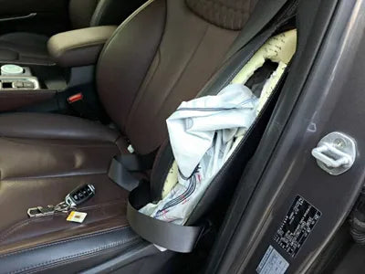 2019 Hyundai Santa FE KMHS581CBKU116989 VIN:KMHS581CBKU116989