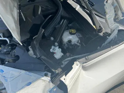 2019 BMW 330 WBA5R3103KAE82391 VIN:WBA5R3103KAE82391