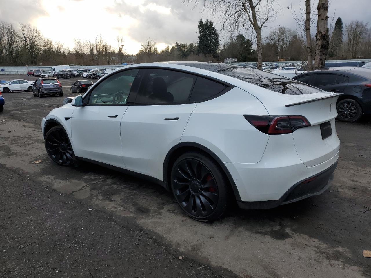 2022 TESLA MODEL Y  VIN:7SAYGDEF3NF462714