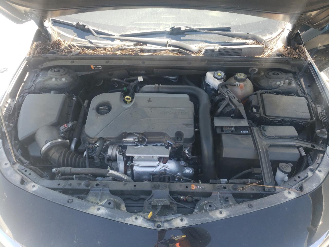 2023 CHEVROLET MALIBU LT VIN:1G1ZD5ST1PF150957