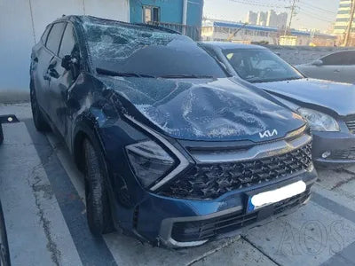2022 Kia Sportage KNAPV81BGNK033222 VIN:KNAPV81BGNK033222