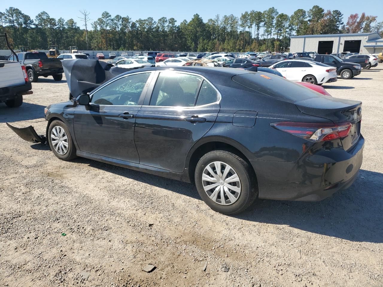2023 TOYOTA CAMRY LE VIN:4T1C31AK3PU619734