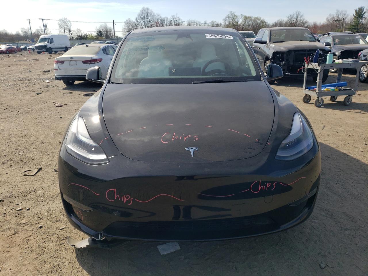 2023 TESLA MODEL Y  VIN:7SAYGDEE2PF750430