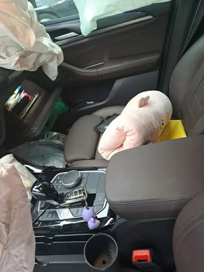 2023 BMW 420 WBA21DT07P9N92024 VIN:WBA21DT07P9N92024