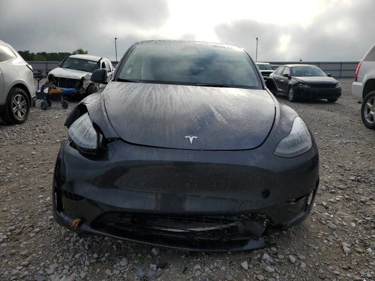 2024 TESLA MODEL Y  VIN:7SAYGDEE6RA273503