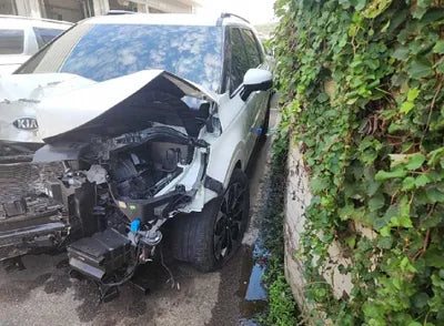2021 Kia Carnival KNANE81BBMS067853 VIN:KNANE81BBMS067853