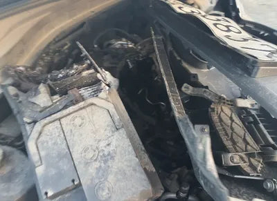 2020 Hyundai Santa FE KMKMHS281BBLU2313 VIN:KMKMHS281BBLU2313