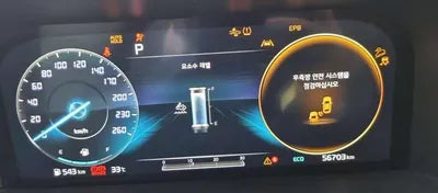 2020 Kia Sorento KNARG81BHMA001830 VIN:KNARG81BHMA001830