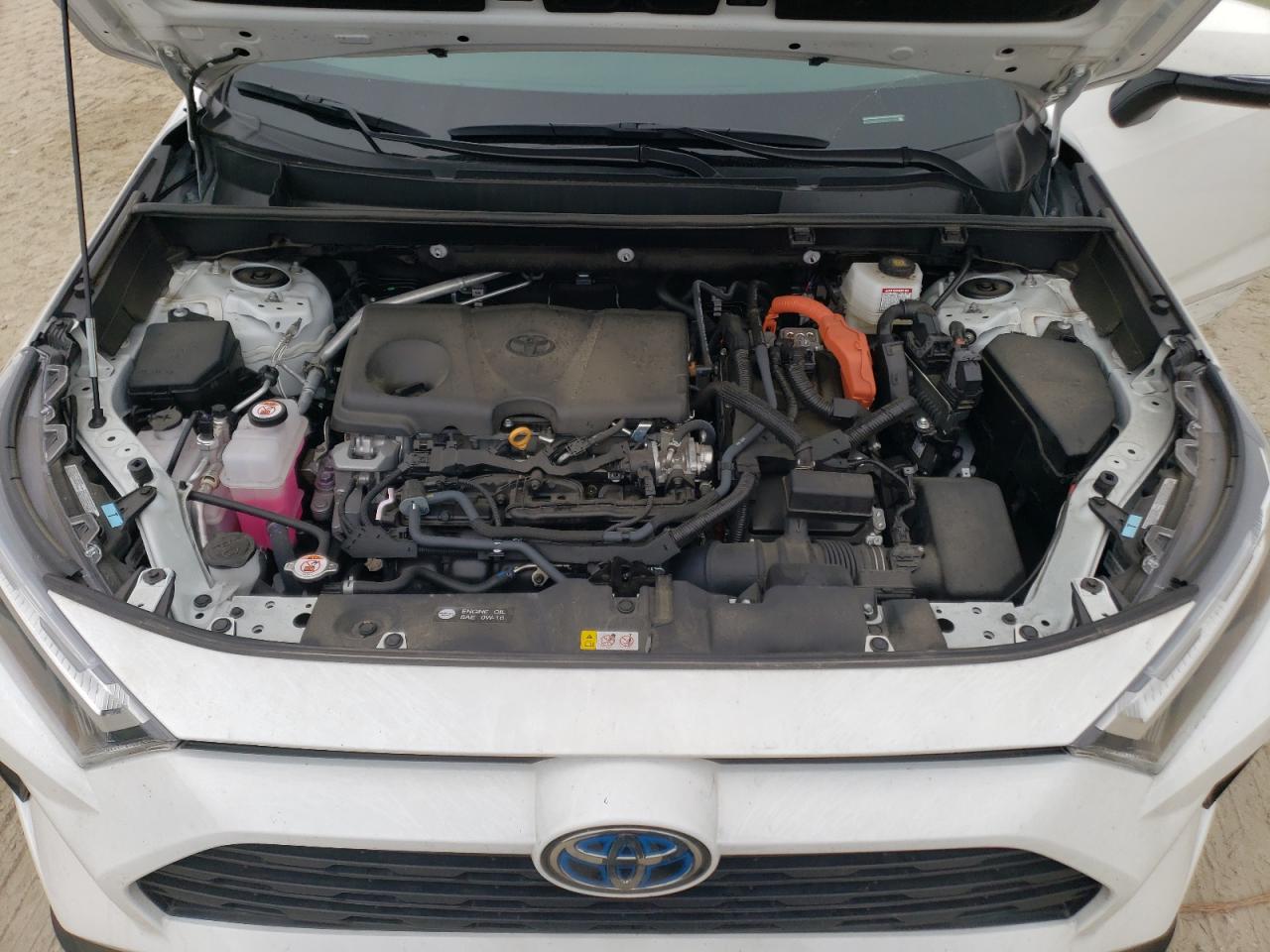 2023 TOYOTA RAV4 XLE VIN:2T3RWRFV2PW177765