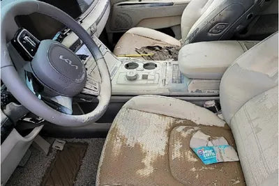 2023 Kia Carnival KNANE81BBPS223601 VIN:KNANE81BBPS223601