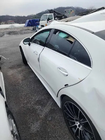 2019 Mercedes-Benz CLS 450 VIN: