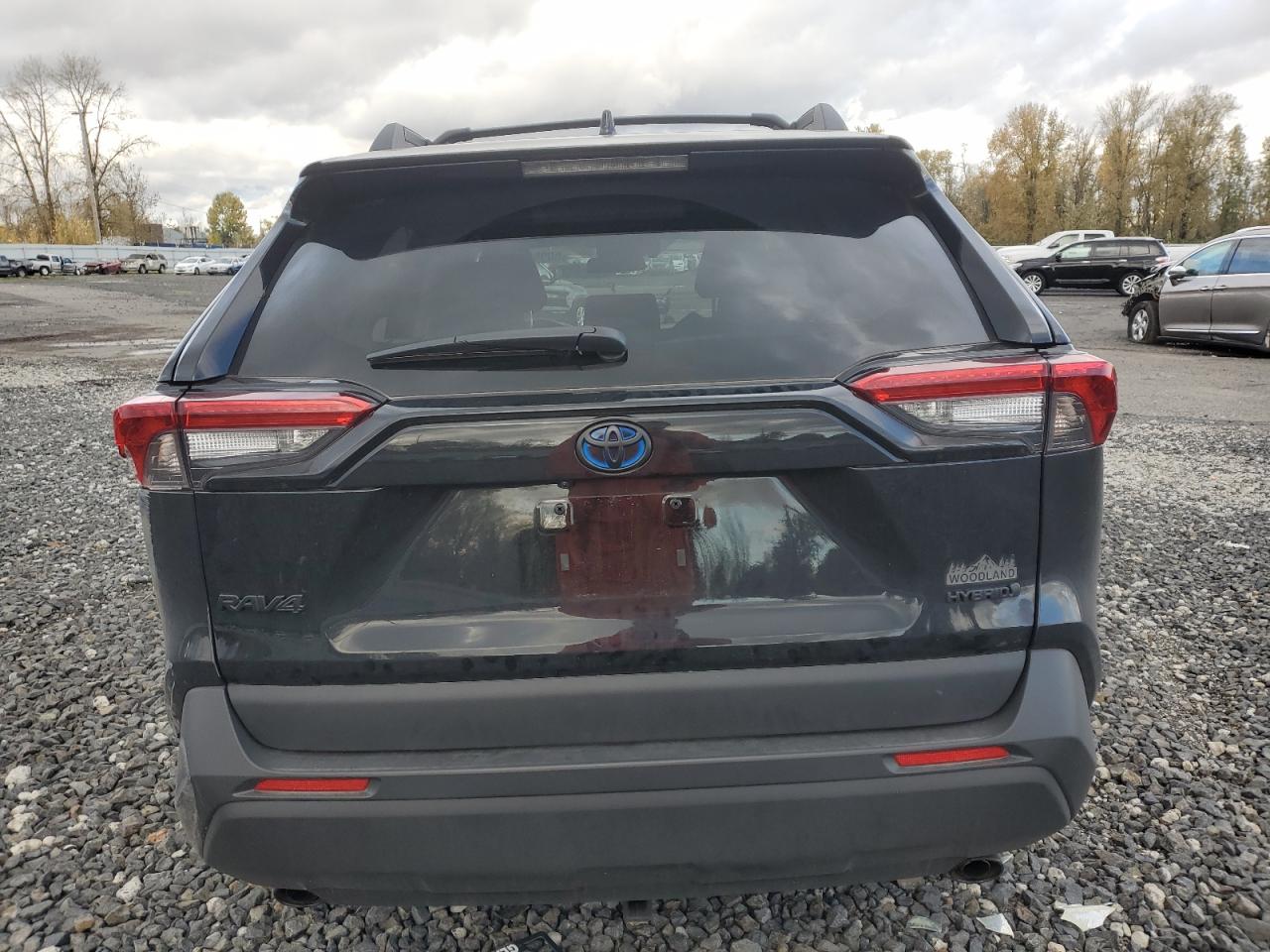 2024 TOYOTA RAV4 WOODLAND EDITION VIN:2T3UWRFV5RW210769
