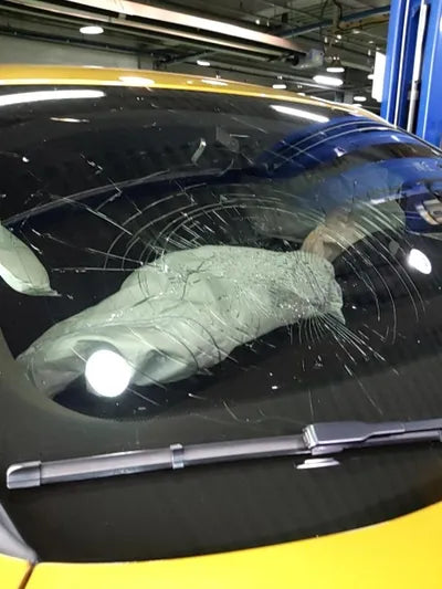 2020 BMW 220 WBA11DF06L5P62933 VIN:WBA11DF06L5P62933