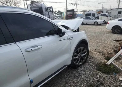 2023 Kia Sorento KNARH81BGPA194234 VIN:KNARH81BGPA194234