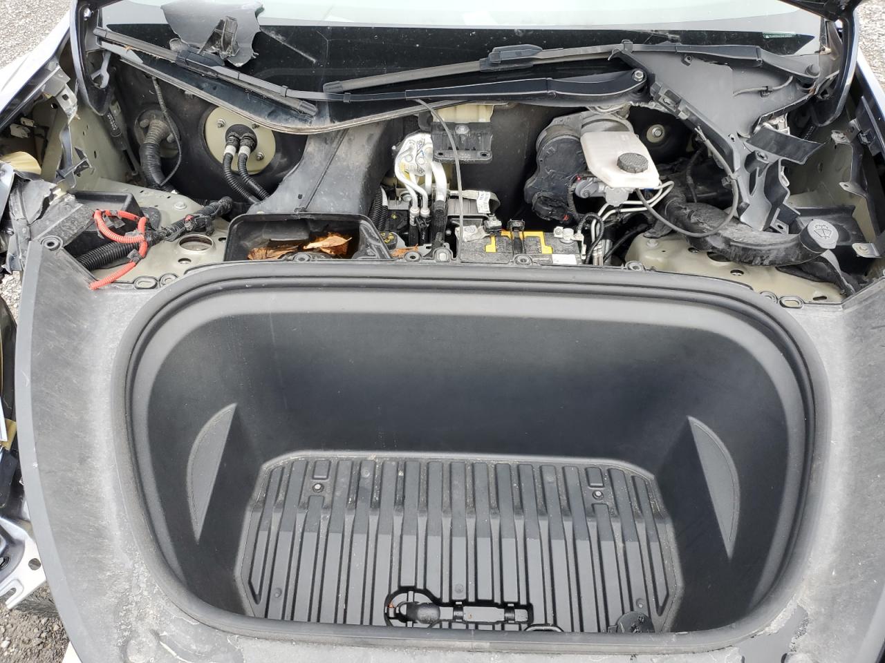 2022 TESLA MODEL Y  VIN:7SAYGDEF0NF314004