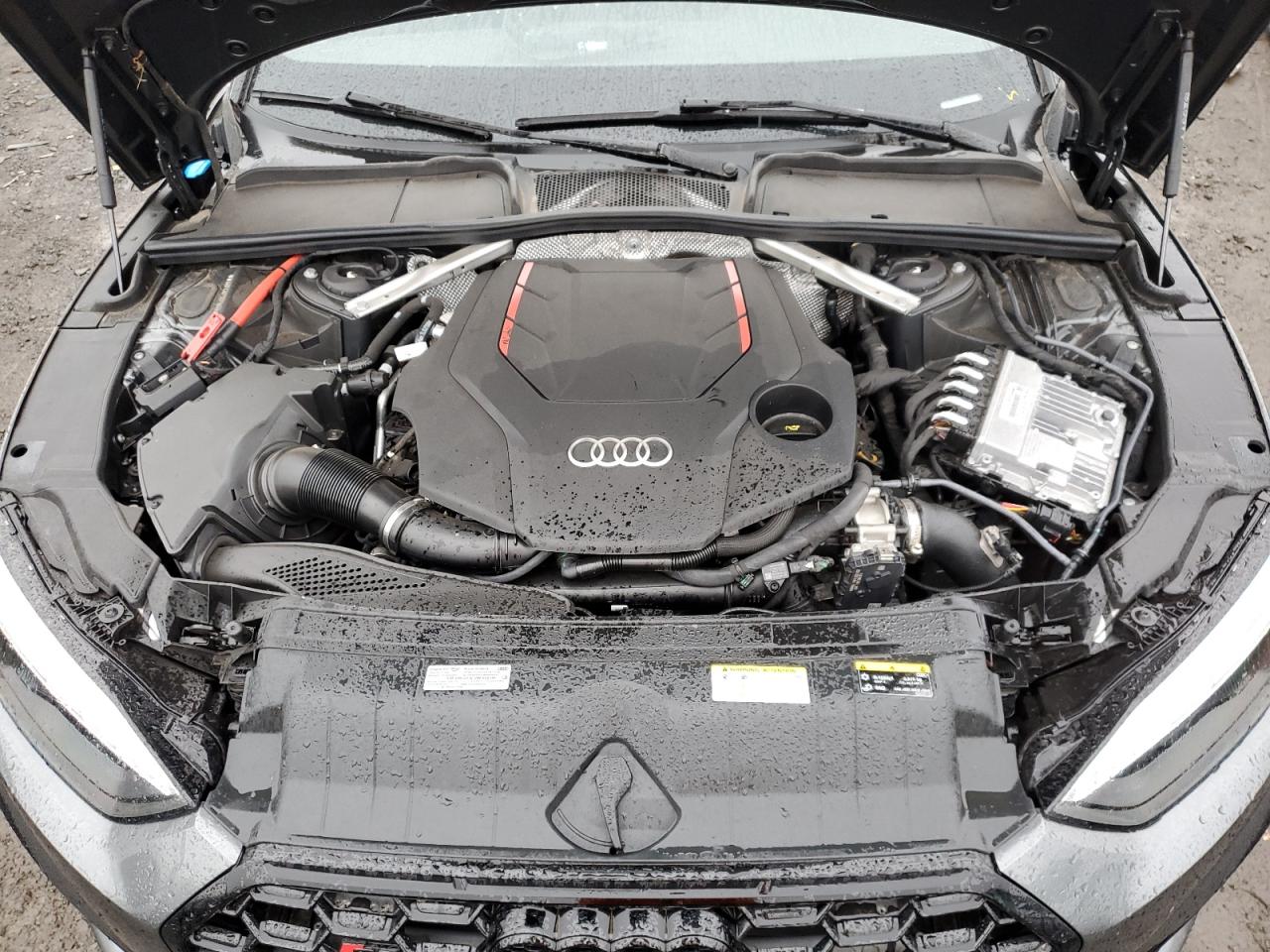 2023 AUDI S5 PREMIUM PLUS VIN:WAUP4AF56PA006608