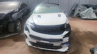 2020 Kia Stinger KNAE351ABLS085915 VIN:KNAE351ABLS085915