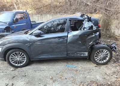 2020 Hyundai Kona KMHK4815GLU450978 VIN:KMHK4815GLU450978