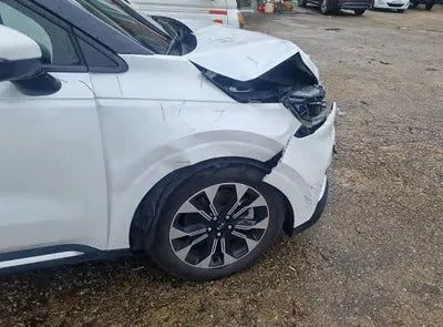 2021 Kia Carnival KNANE81BBMS073819 VIN:KNANE81BBMS073819