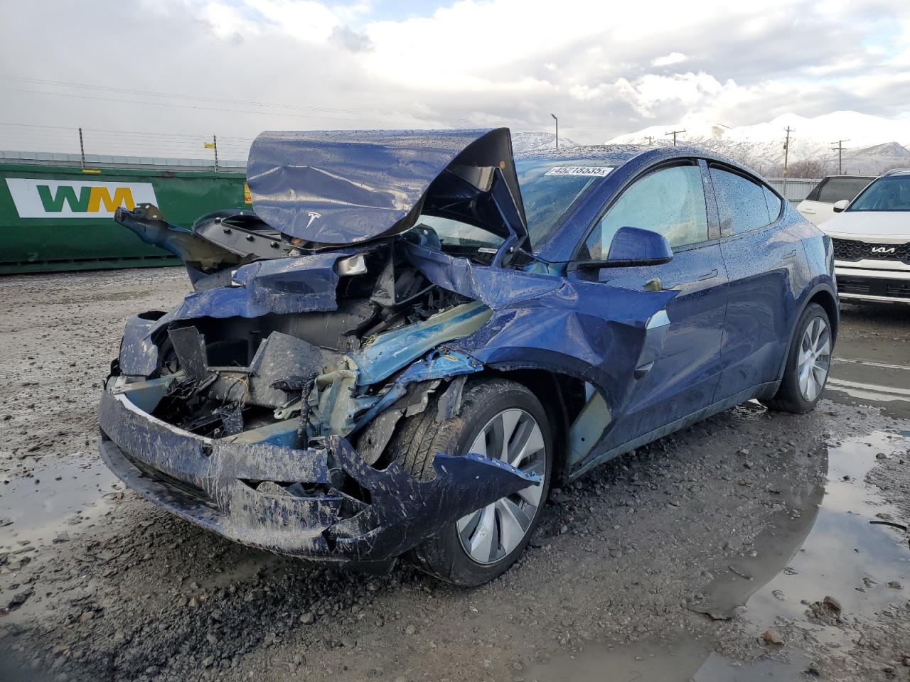2024 TESLA MODEL Y  VIN:7SAYGAEE1RF072951