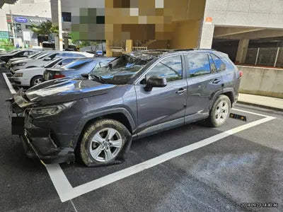 2019 Toyota RAV4 VIN: