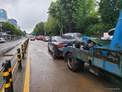 2016 acupuncture nessis 3.3 VIN: