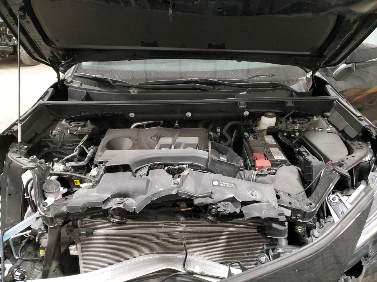 2024 TOYOTA RAV4 XLE VIN:2T3P1RFV1RC393438