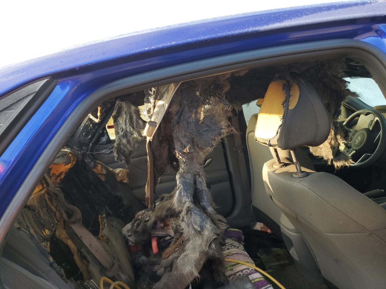 2024 HYUNDAI ELANTRA SEL VIN:KMHLM4DG2RU756897