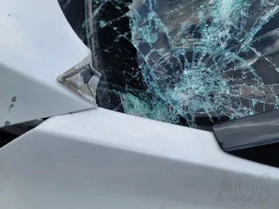 2021 Kia Carnival KNANC81BBMS004700 VIN:KNANC81BBMS004700