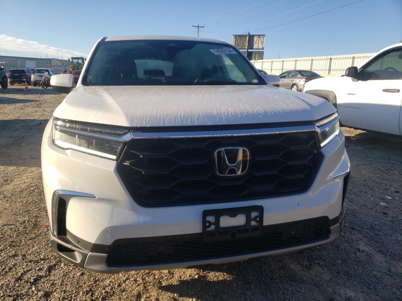 2024 HONDA PILOT EXL VIN:5FNYG1H43RB017787