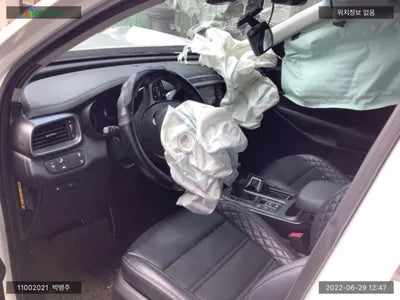 2019 Kia Sorento KNAPH81ABLA602625 VIN:KNAPH81ABLA602625