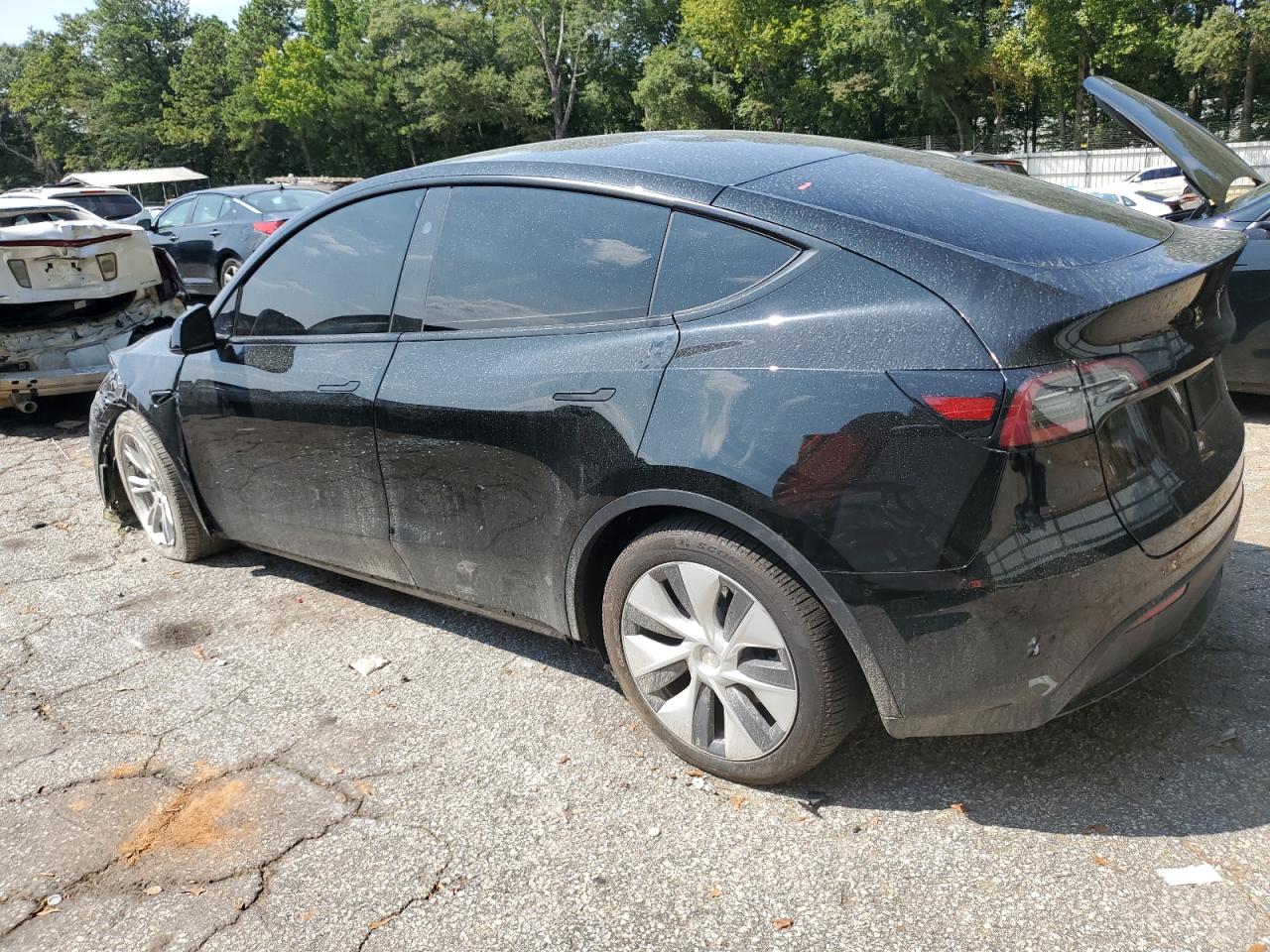 2023 TESLA MODEL Y  VIN:7SAYGDEEXPA201670