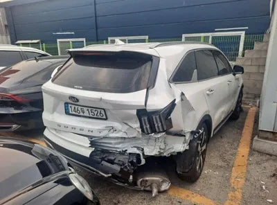 2021 Kia Sorento KNARL81BGMA074326 VIN:KNARL81BGMA074326