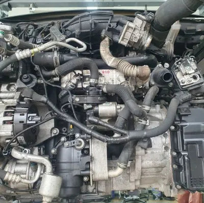 2019 Kia Carnival VIN: