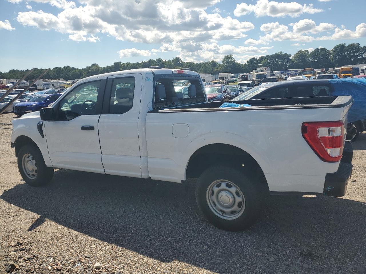 2023 FORD F150 SUPER CAB VIN:1FTFX1E80PKF21681