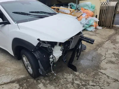 2021 Hyundai Kona KMHK2813GMU790932 VIN:KMHK2813GMU790932