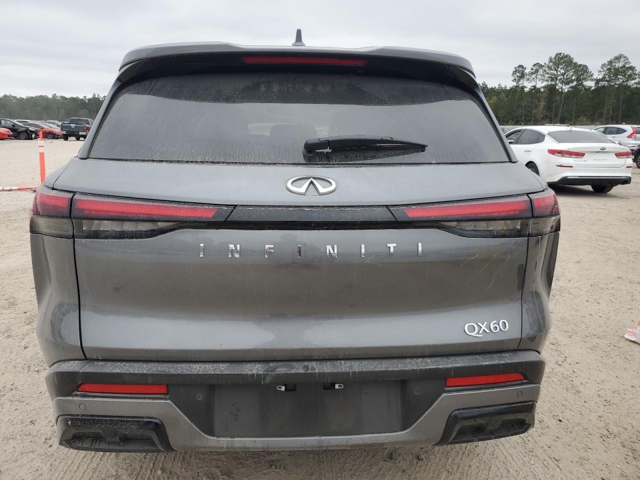 2024 INFINITI QX60 LUXE VIN:5N1DL1FR6RC334996