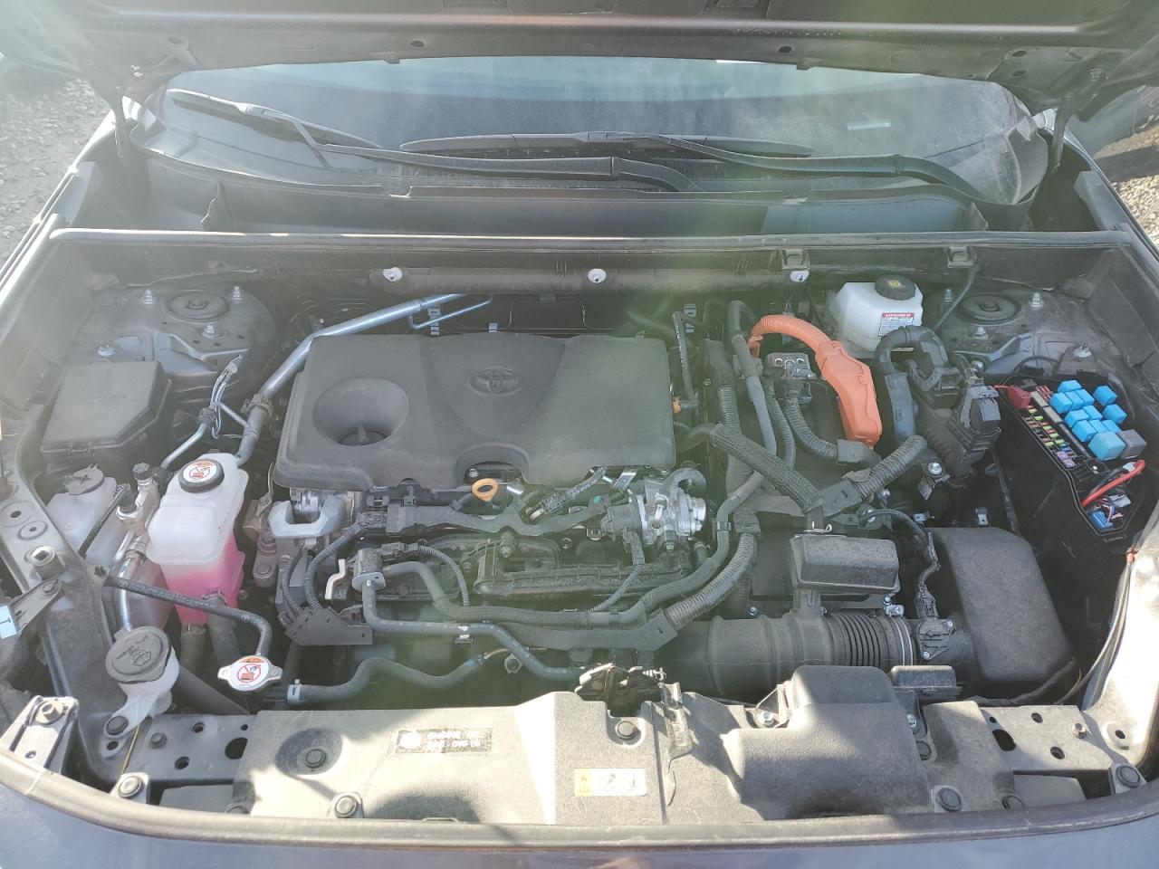 2024 TOYOTA RAV4 XLE VIN:2T3RWRFV9RW213082