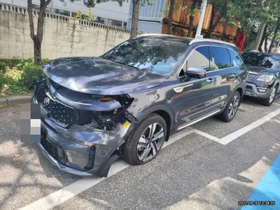 2020 Kia Sorento KNAPG81ABLA626790 VIN:KNAPG81ABLA626790