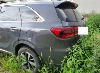 2018 Kia Sorento KNAPG811DJA391579 VIN:KNAPG811DJA391579