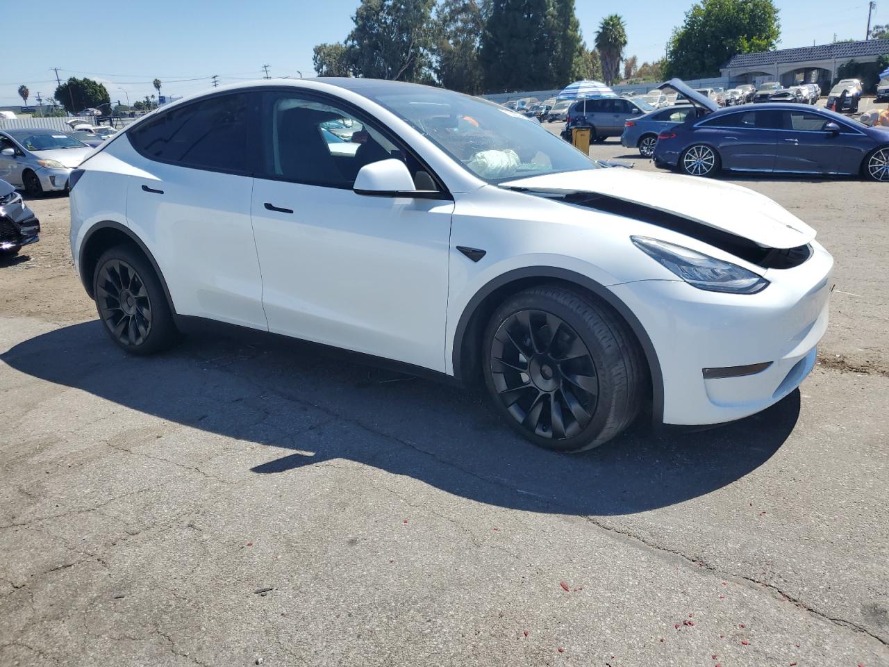 2023 TESLA MODEL Y  VIN:7SAYGDEE2PA108383