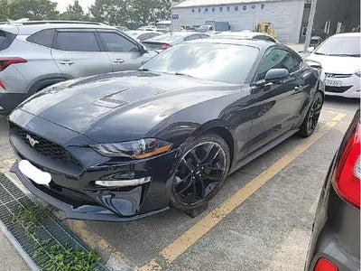 2019 Ford Mustang 571KM1FA6P8TH5K51 VIN:571KM1FA6P8TH5K51
