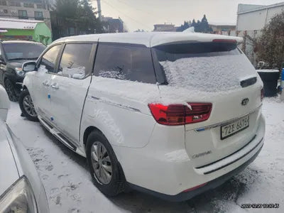 2019 Kia Carnival KNHMF37ABKS525968 VIN:KNHMF37ABKS525968