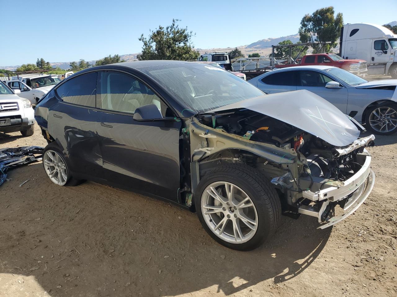 2024 TESLA MODEL Y  VIN:7SAYGDEE9RF070673