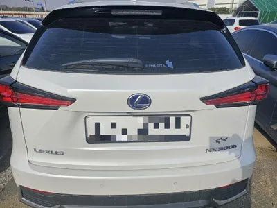 2019 Lexus NX 300 VIN: