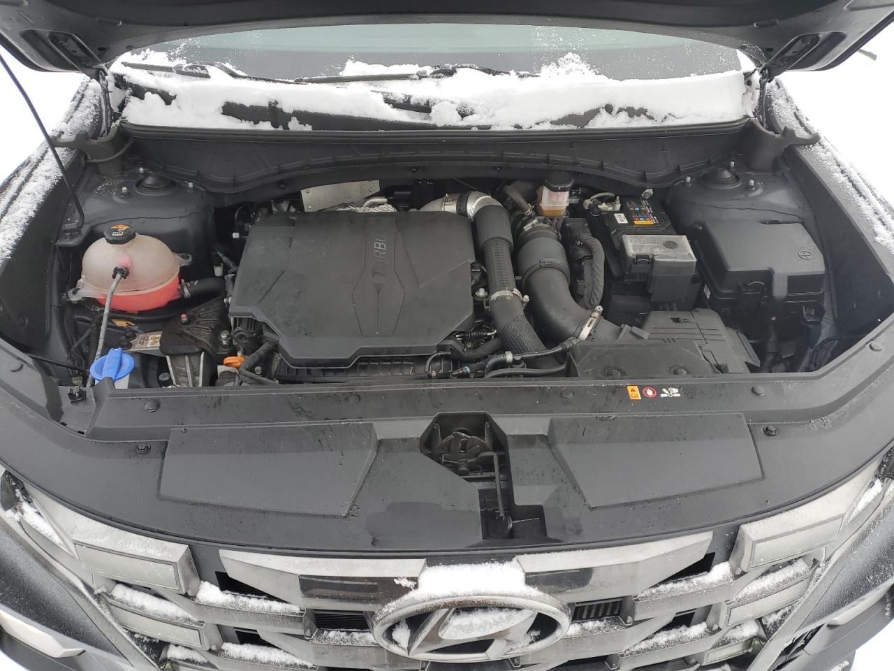 2023 HYUNDAI SANTA CRUZ NIGHT VIN:5NTJCDAFXPH043927