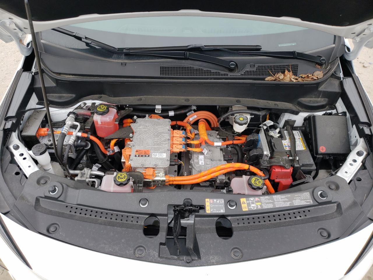 2023 CHEVROLET BOLT EUV PREMIER VIN:1G1FZ6S0XP4203067