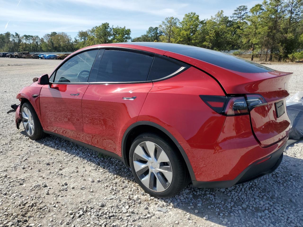 2023 TESLA MODEL Y  VIN:7SAYGDEE3PA113561