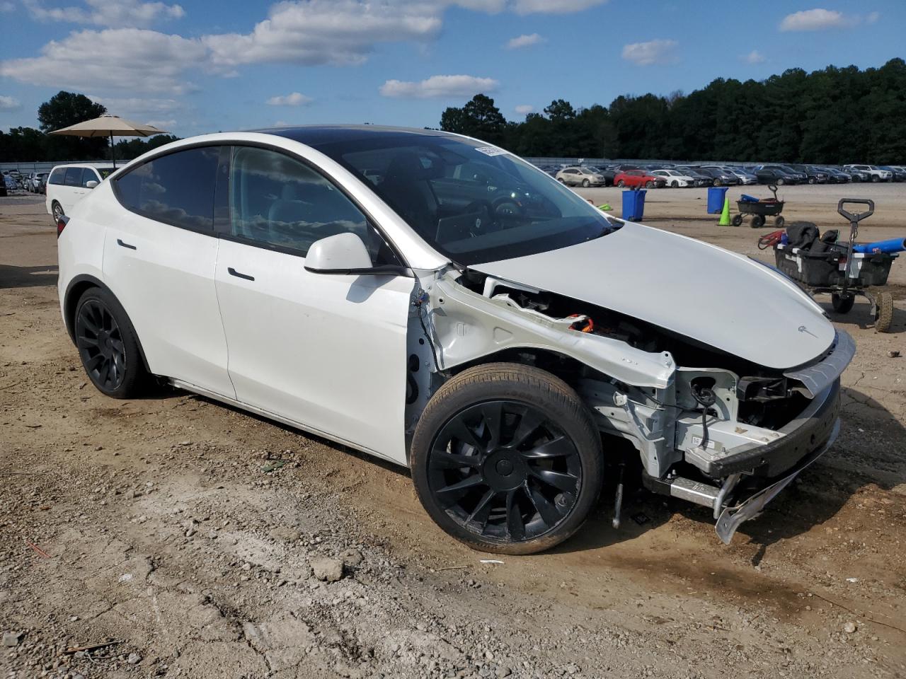 2023 TESLA MODEL Y  VIN:7SAYGDEE8PA188871