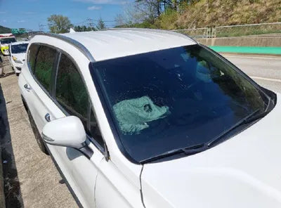 2021 Hyundai Santa FE KMHS381LGMU373296 VIN:KMHS381LGMU373296